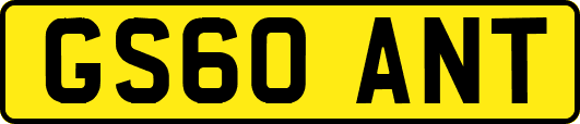 GS60ANT