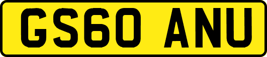 GS60ANU