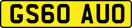 GS60AUO