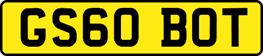 GS60BOT