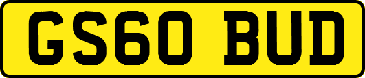 GS60BUD