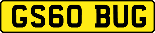 GS60BUG