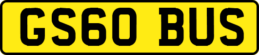 GS60BUS
