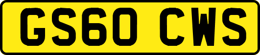 GS60CWS