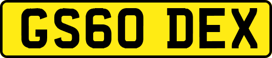 GS60DEX