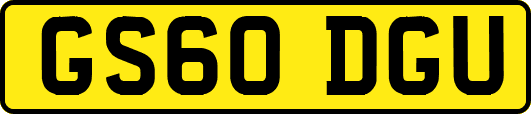GS60DGU