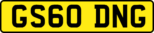GS60DNG