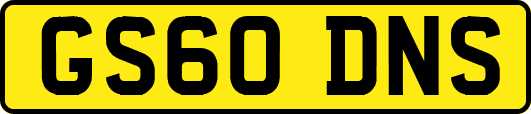 GS60DNS