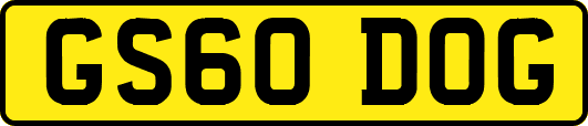 GS60DOG