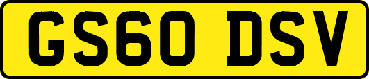 GS60DSV
