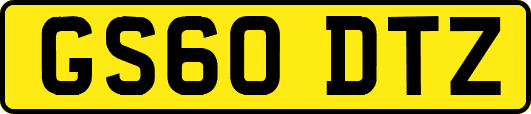 GS60DTZ