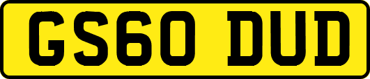 GS60DUD