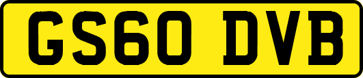 GS60DVB