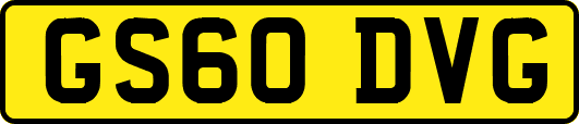 GS60DVG