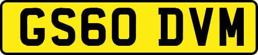 GS60DVM