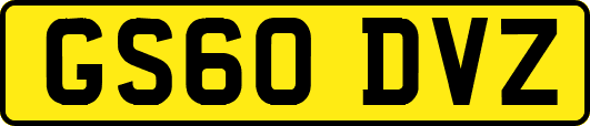 GS60DVZ