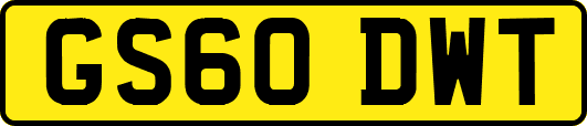 GS60DWT