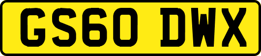 GS60DWX