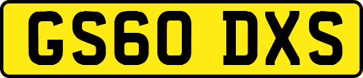 GS60DXS