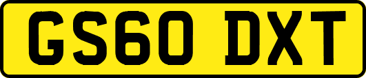 GS60DXT