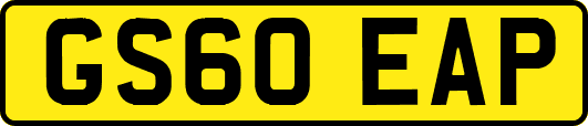GS60EAP