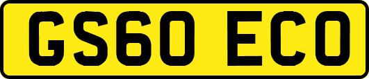 GS60ECO