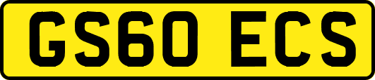 GS60ECS