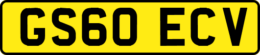 GS60ECV