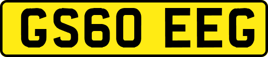 GS60EEG