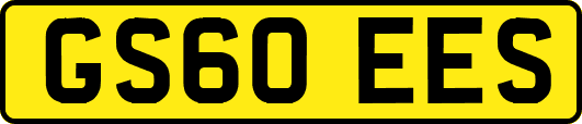 GS60EES