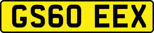 GS60EEX