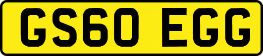 GS60EGG