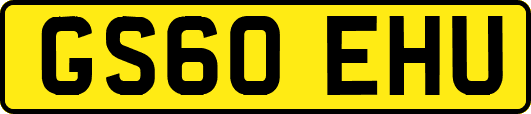 GS60EHU