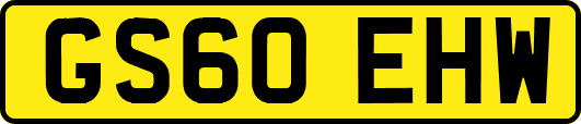 GS60EHW