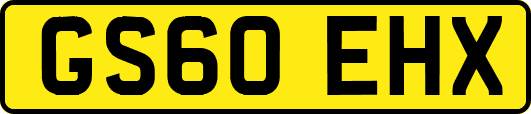 GS60EHX