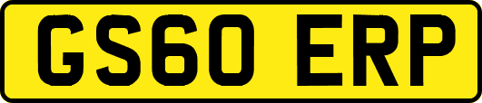 GS60ERP