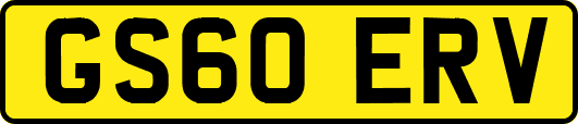 GS60ERV