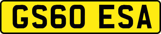 GS60ESA