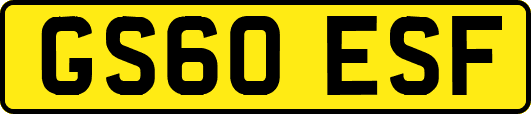 GS60ESF