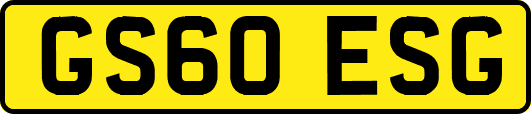 GS60ESG