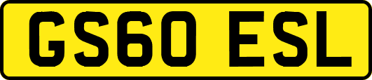 GS60ESL