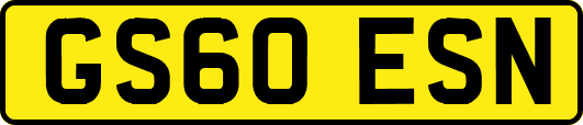 GS60ESN