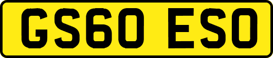 GS60ESO