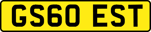 GS60EST