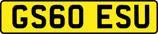 GS60ESU