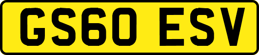 GS60ESV