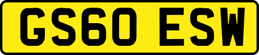 GS60ESW
