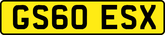 GS60ESX