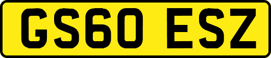 GS60ESZ
