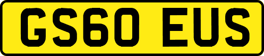 GS60EUS